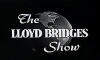 The Lloyd Bridges Show (1962)
