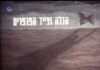 The Bride and the Butterfly Hunter (1974)