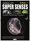 Super Senses (2015)