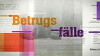 Betrugsfälle (2010)