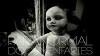 Paranormal Documentaries (2016)