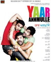 Yaar Anmulle (2011)