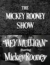 The Mickey Rooney Show (1954)