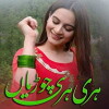 Hari Hari Churiyaan (2017)