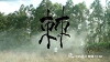 The Thorn (2018)