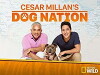 Cesar Millan's Dog Nation (2017)
