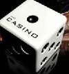 The Casino (2004)
