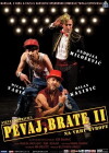 Pevaj, brate! (2011)