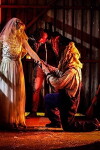 Bride of Scarecrow (2018)