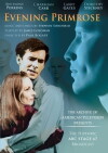 Evening Primrose (1966)