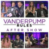 Vanderpump Rules After Show (2015)