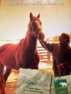Thoroughbred (2001)
