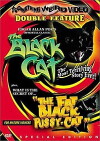 The Black Cat (1966)