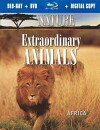 Extraordinary Animals (2008)