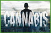 Cannabis (2016)