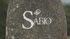 O Sábio (2017)