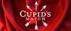 Cupid's Match (2018)
