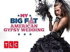 My Big Fat American Gypsy Wedding (2016)