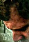 A Perfect Life (2011)