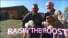 Raisin' the Roost (2017)