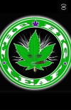 The Big Leaf (2015)
