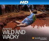 America: Wild & Wacky (2007)