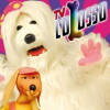 TV Colosso (1993)