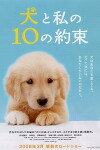 10 Promises to My Dog (2008)