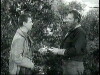 The Desperado (1954)