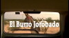 The Hunched Donkey (2009)