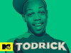 Todrick (2015)