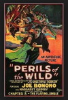 Perils of the Wild (1925)