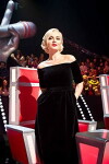 Voice 5 (2012)