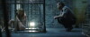 Pet: Wenn du etwas liebst, dann lass es nicht los (2016)