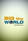 Big Tiny World: Qingdao, China (2011)