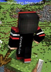 Surviving Minecraft (2018)