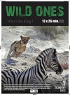 Wild Ones (2014)