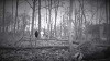 Forgotten Misery Rituals (2017)