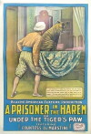 A Prisoner in the Harem (1913)