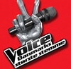 Voice - Danmarks største stemme (2011)