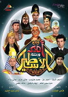 Amir and the Journey of Legends (2013)