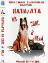 Es waren einmal ein Hund und eine Katze (1987)