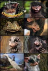The Adventures of Grady Greenspace (1992)