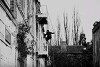 The Vampires: The Terrible Wedding (1916)