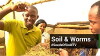 Seeds of Gold (2015)