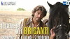 Il generale dei briganti (2012)