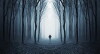 Clinton Road (2018)