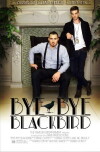 Bye Bye Blackbird (2016)
