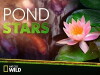Pond Stars (2014)