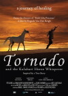 Tornado and the Kalahari Horse Whisperer (2009)